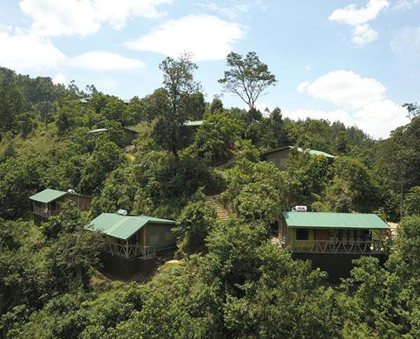 Gorilla Hills Eco-Lodge Kisoro Exterior foto