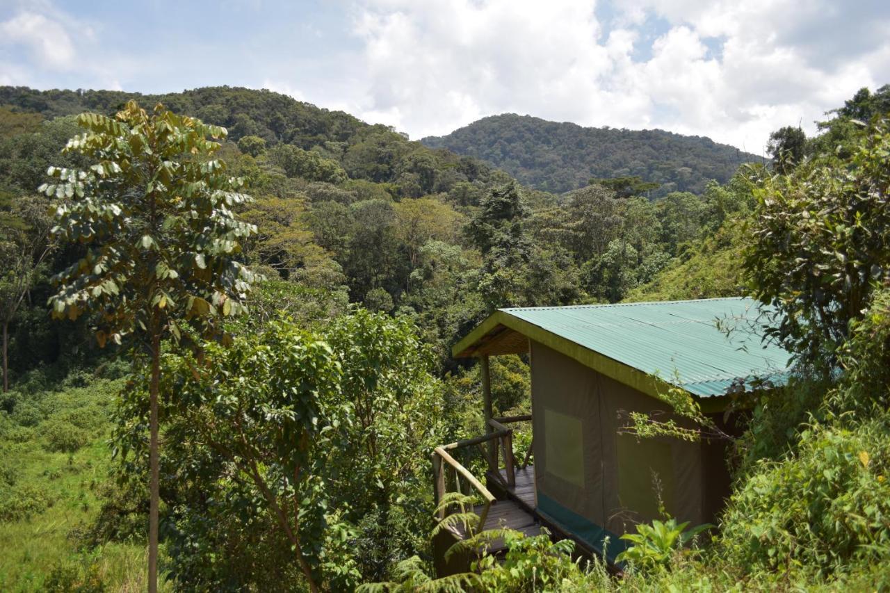 Gorilla Hills Eco-Lodge Kisoro Exterior foto
